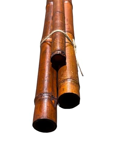 Round Bamboo Poles ( Oliveri ), For Multipurpose at Rs 70/piece in  Robertsganj