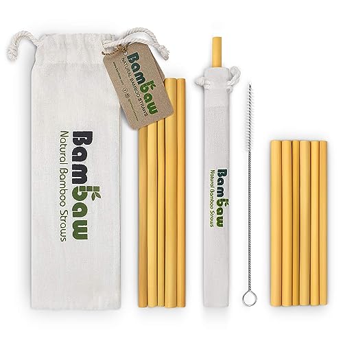 EcoAmiga Bamboo Straw, 8 Inch Reusable & Biodegradable Organic Bulk Straws  – Great Ecological Alternative to Plastic Straws (Reed)