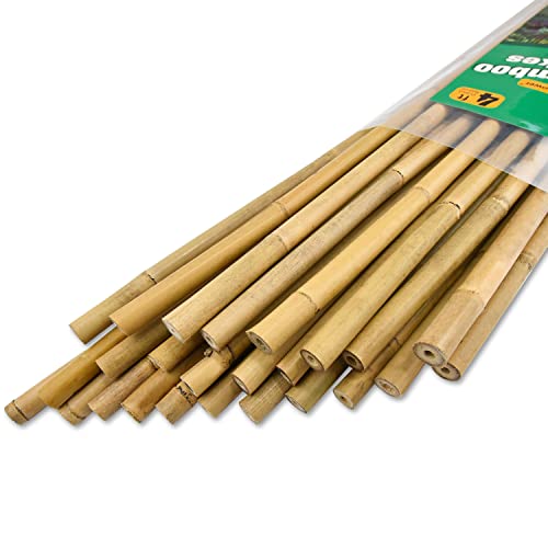HAINANSTRY Garden Wood Plant Stakes Green Bamboo Sticks, Sturdy Floral  Plant Support Stakes Wooden,Wooden Sign Posting Garden Sticks(25 Pack 18  Inches) 