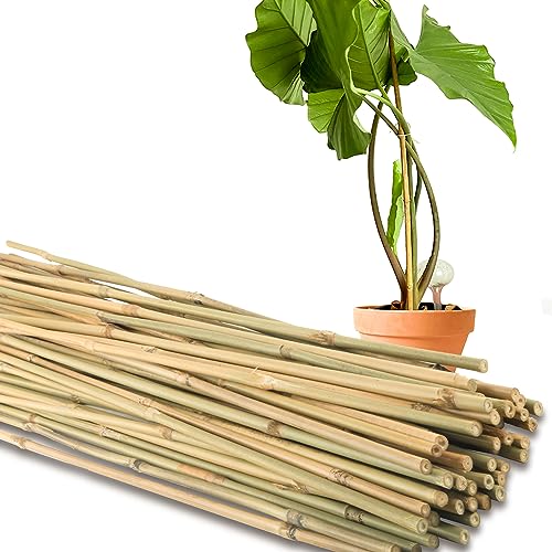 16 Inch Bamboo Sticks Decor For Plants Bamboo Garden Stakes With