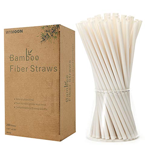 Ibambo Natural Bamboo Drinking Straws 10 Pack 8 Inch Eco Friendly  Sustainable Reusable Straws Washable Biodegradable Alternative to Plastic 