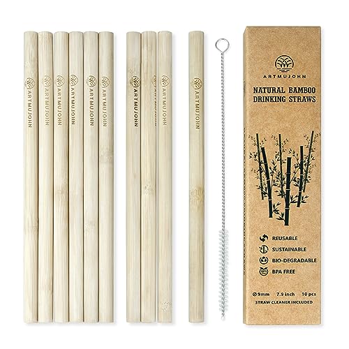 Ibambo Natural Bamboo Drinking Straws 10 Pack 8 Inch Eco Friendly  Sustainable Reusable Straws Washable Biodegradable Alternative to Plastic 